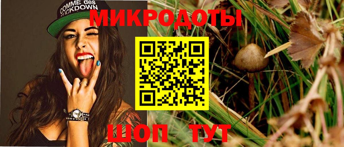 Галлюциногенные грибы Cubensis Тара