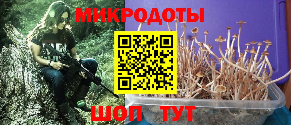 Псилоцибиновые грибы Psilocybe  Вход с VPN  Псилоцибиновые грибы Psilocybine cubensis  Тара 